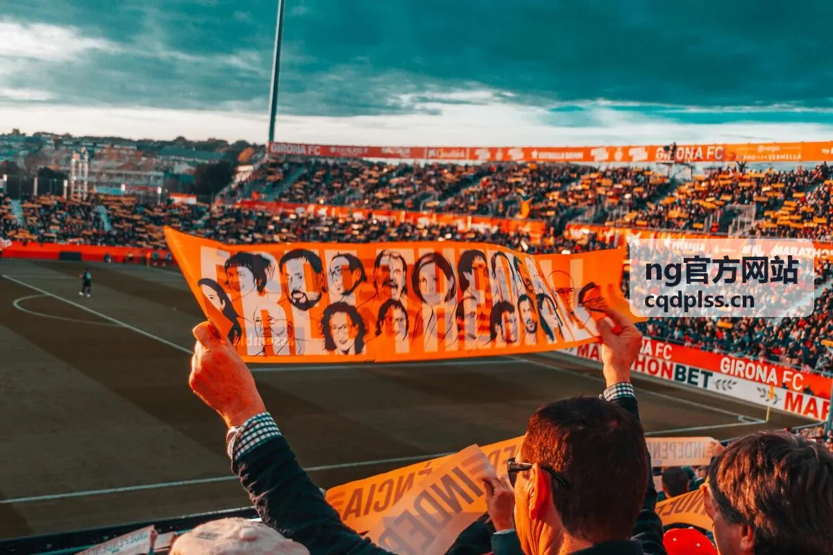 ng官方网站客户端下载封面
