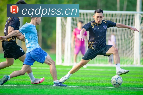华体会手机网页版服务体系